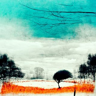 A single small tree on open ground beneath a turquoise sky, the grass burning orange.