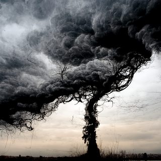 A tree whose canopy darkens and rises into a storm cloud.