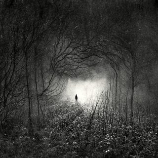 A tiny hooded figure walking a tunnel of arching bare trees toward a far light.