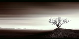 A lone bare tree on the edge of a dark ridge above pale emptiness.