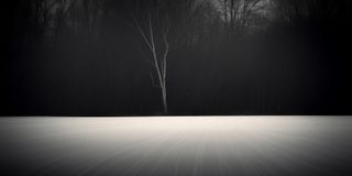 A dark line of bare winter woods meeting a wide pale clearing, one bare tree standing out in front.
