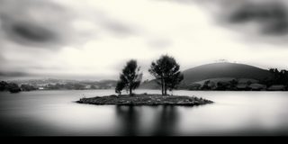 A small island holding two trees close together in still water.