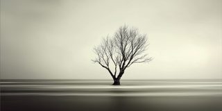 A single monumental bare tree standing in flat still water, alone.