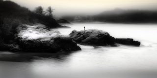 A small rock in misty water carrying a solitary mark.