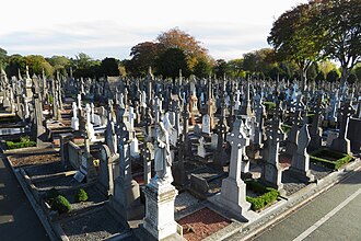 ranks of Victorian headstones and Celtic crosses across mown grass, a standing draped figure among them, a dark treeline behind